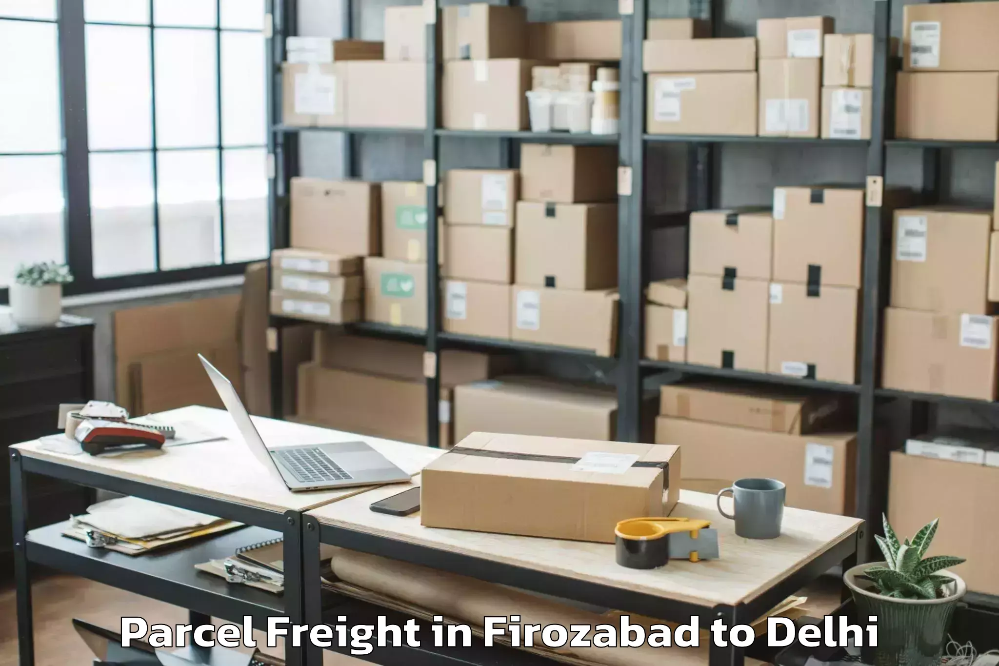 Professional Firozabad to D Mall Rohini Parcel Freight